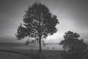 Winterreise - Schubert